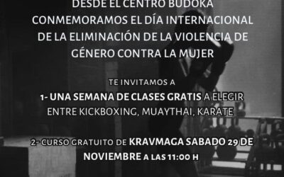 Día Internacional para la Eliminación de la Violencia contra la Mujer: 25 de Noviembre