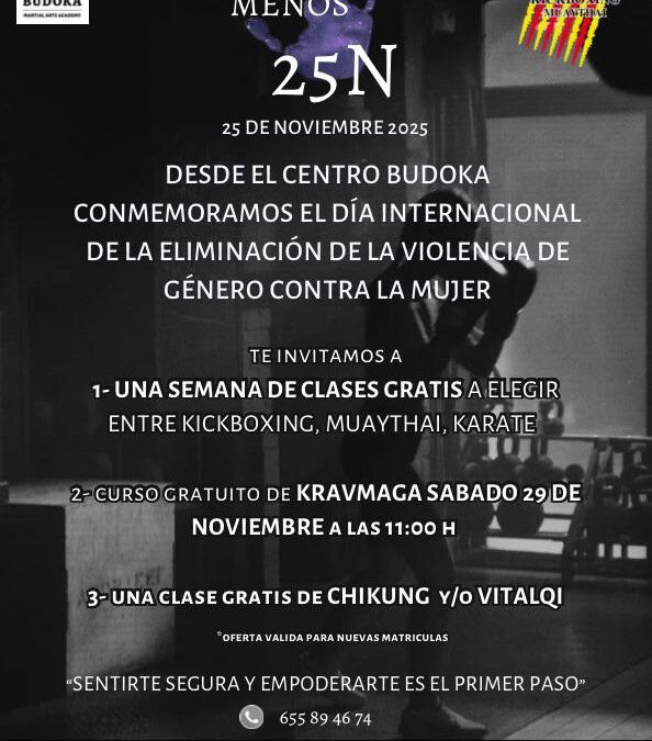 Día Internacional para la Eliminación de la Violencia contra la Mujer: 25 de Noviembre